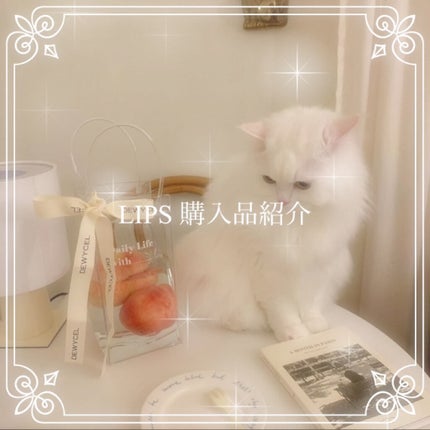 カラーミキシングコンシーラー/キャンメイク/パレットコンシーラーを使ったクチコミ(1枚目)