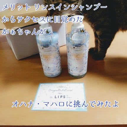 オハナ・マハロ フレグランスシャンプー/ヘアトリートメント <レイア マカラプア>/OHANA MAHAALO/市販シャンプーを使ったクチコミ(1枚目)