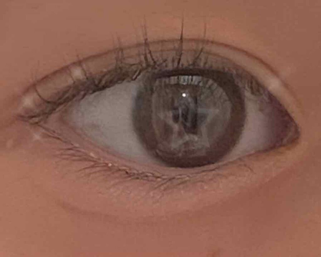 パールグロウハイライト/CEZANNE/パウダーハイライトを使ったクチコミ（2枚目）