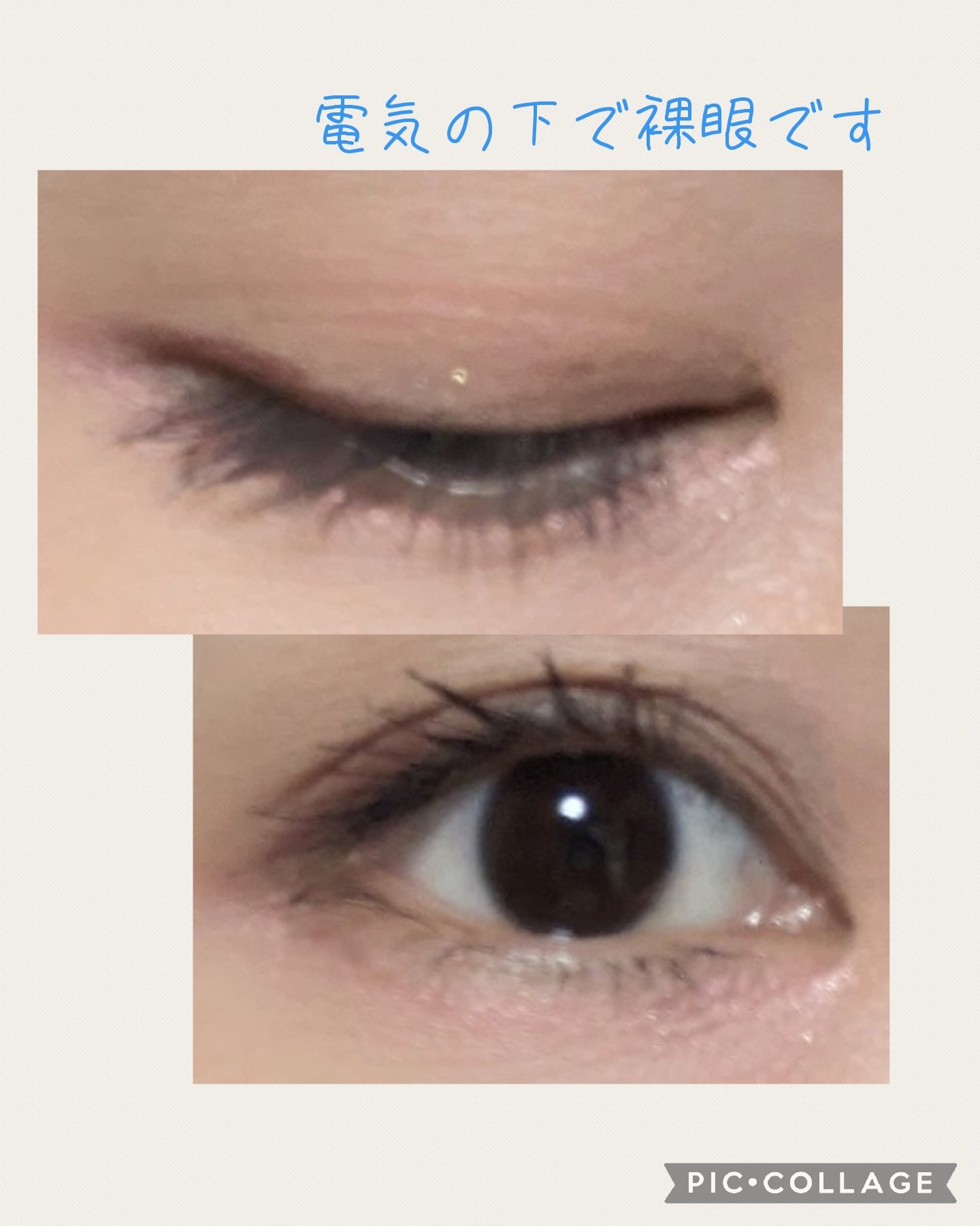 STEP BASIC EYESHADOW COCOABEIGE/Ameli/単色アイシャドウを使ったクチコミ（3枚目）