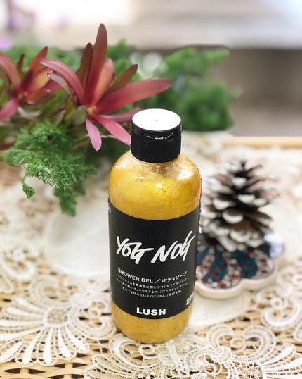 LUSH ヨッグノッグ ボディソープ 試してみた】ラッシュ ヨッグノッグ シャワージェルのリアルな