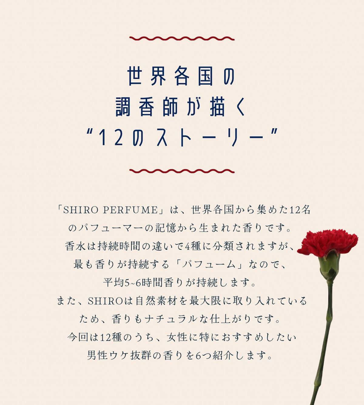 MARVELLOUS STAR オードパルファン/SHIRO/香水(レディース)を使ったクチコミ（2枚目）