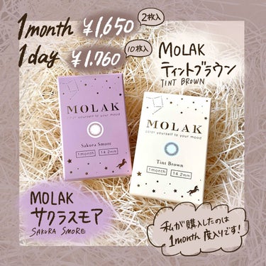 MOLAK 1month ティントブラウン/MOLAK/１ヶ月（１MONTH）カラコンを使ったクチコミ（2枚目）