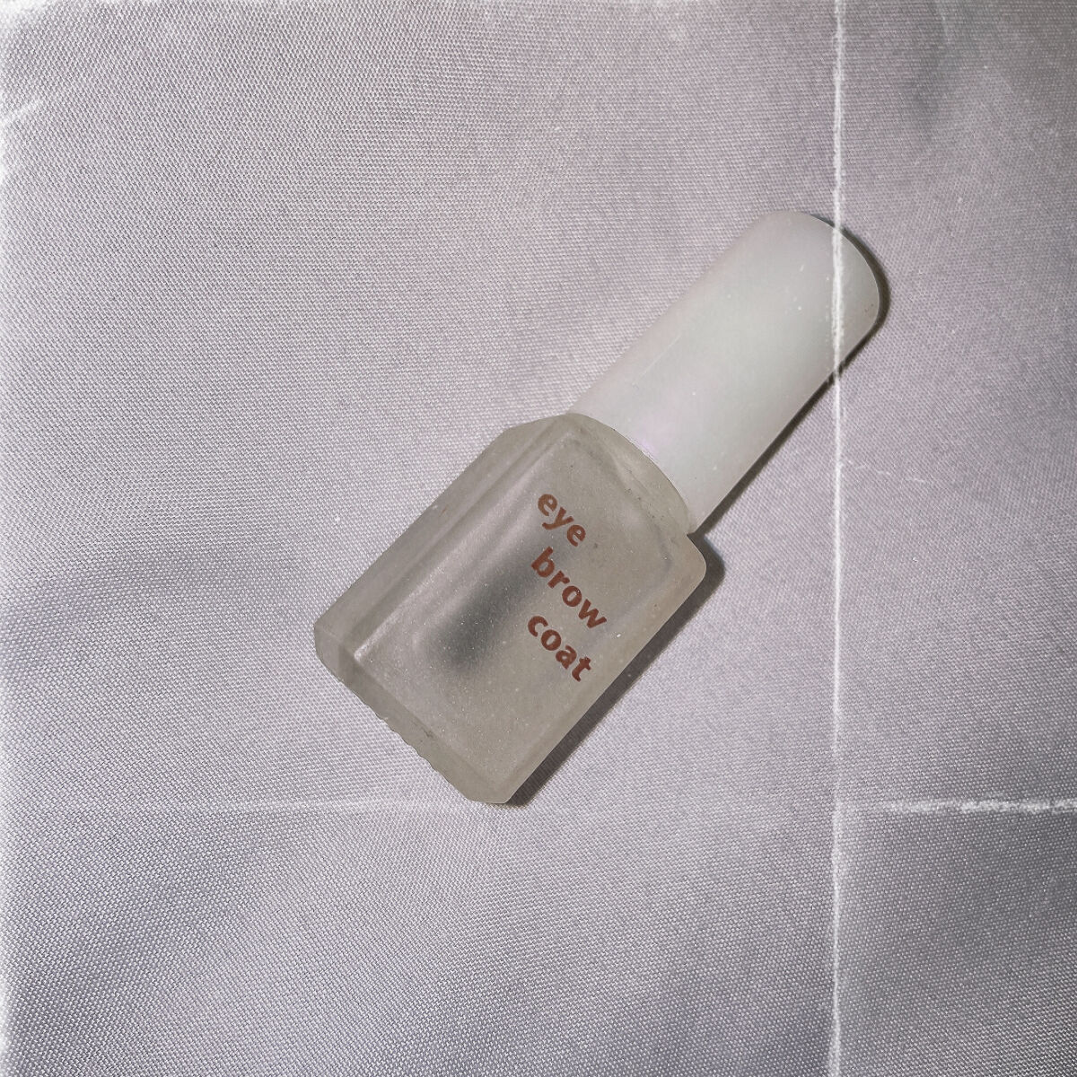 エバビレーナ アイブローコート/DAISO/アイブロウコートを使ったクチコミ（1枚目）