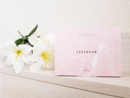 フィット my カラーパレット/STEIASUR(ステイアシュール)/マルチパレットを使ったクチコミ(3枚目)