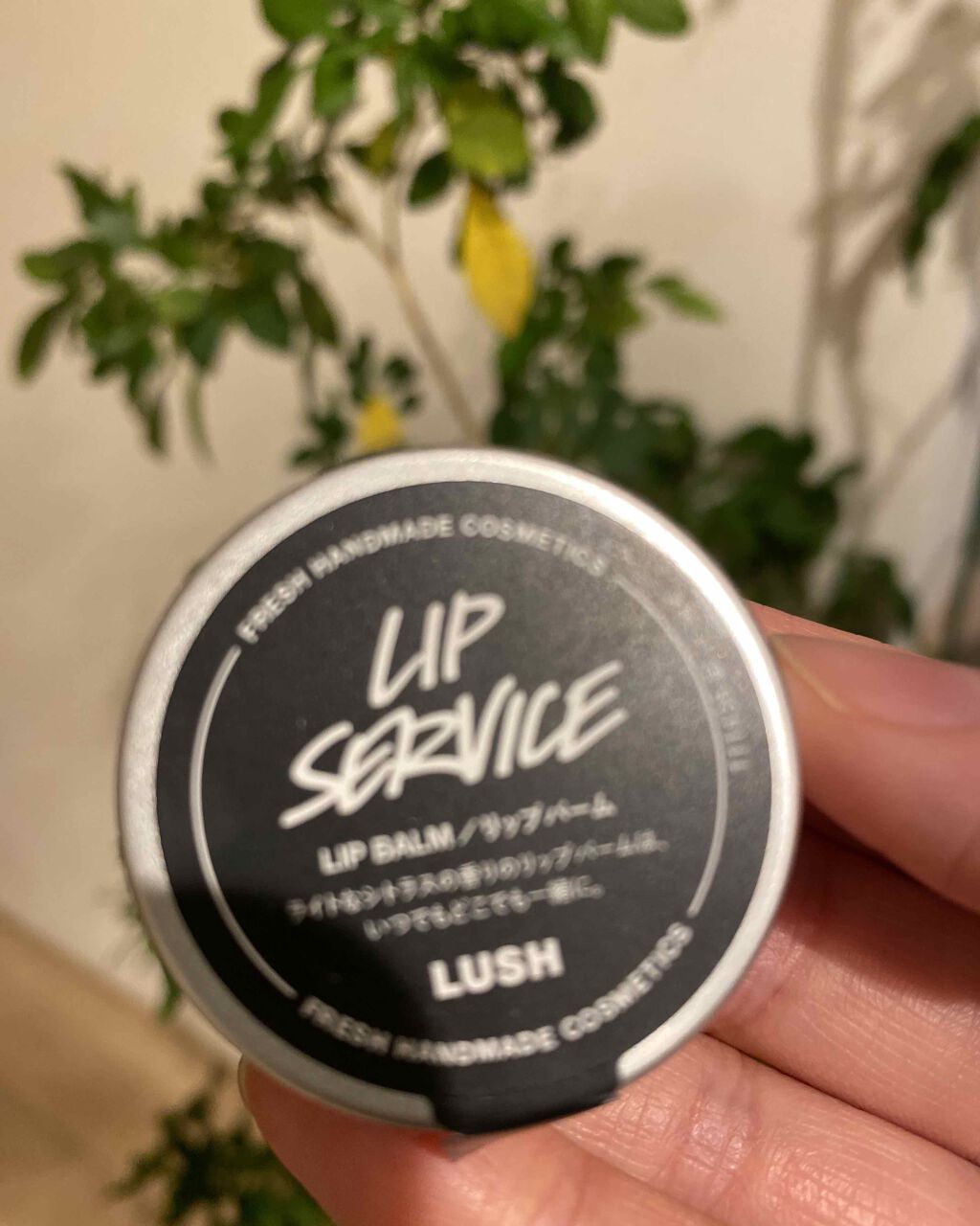 リップサービス/ラッシュ/リップバームを使ったクチコミ（1枚目）
