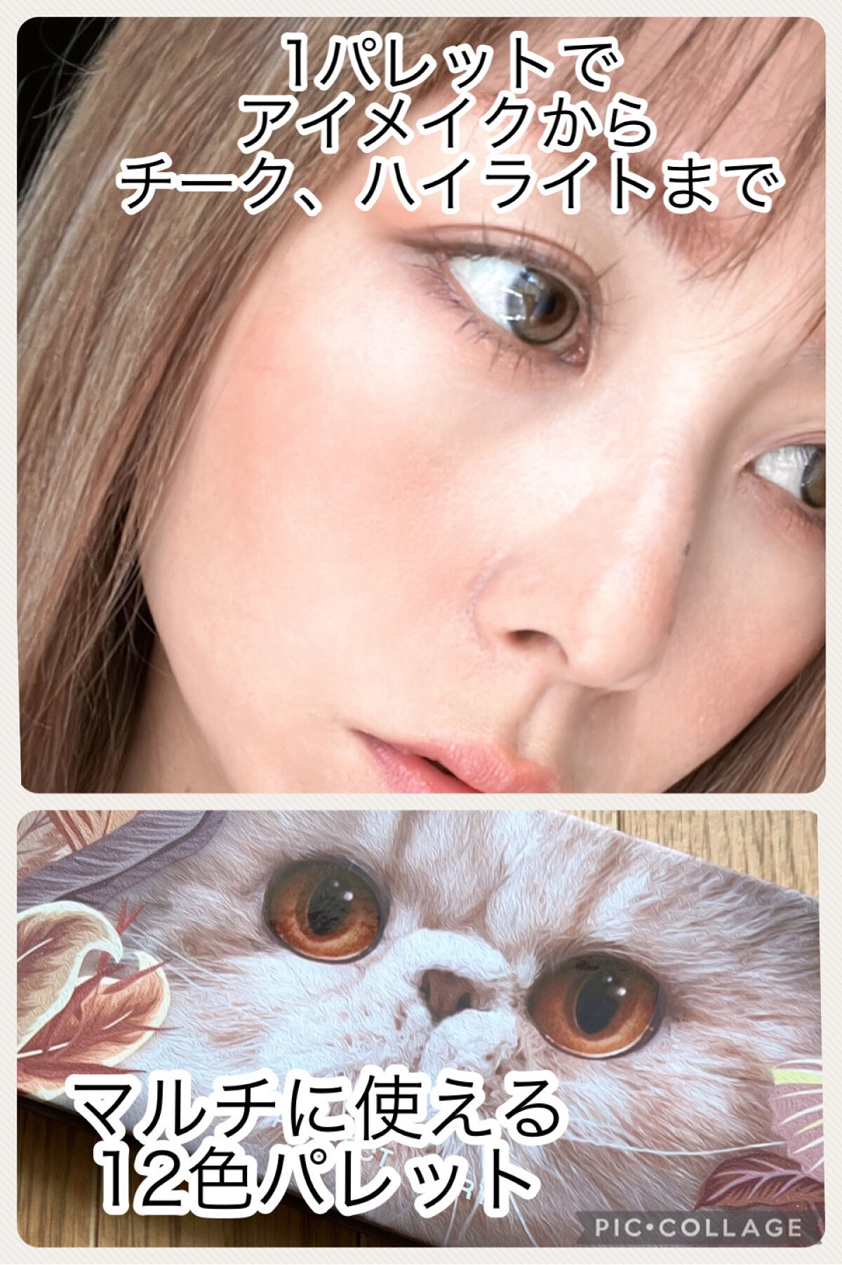 エクスプローラ12色 動物アイシャドウパレット/PERFECT DIARY/アイシャドウパレットを使ったクチコミ（1枚目）