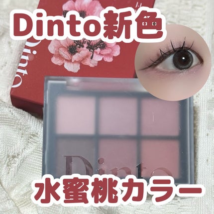 ブラーフィニシュシャドウパレット/Dinto/アイシャドウパレットを使ったクチコミ(1枚目)
