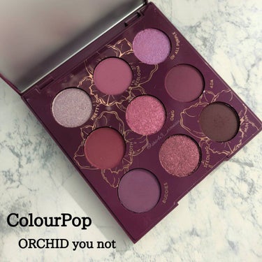 Pressed Powder Shadow /ColourPop/パウダーアイシャドウを使ったクチコミ（1枚目）