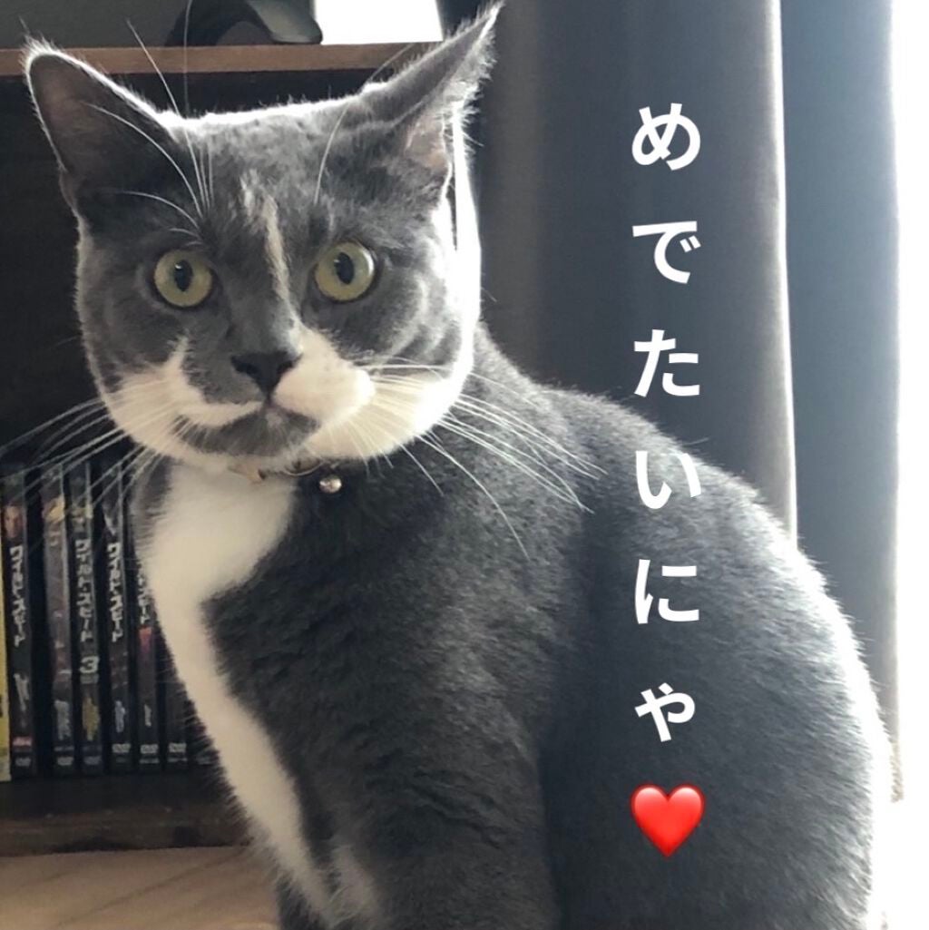 スタイリングマスカラ/パラドゥ/マスカラを使ったクチコミ(7枚目)