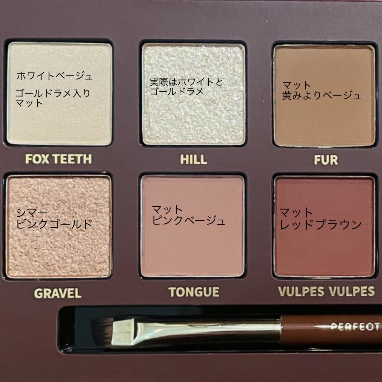 エクスプローラ12色 動物アイシャドウパレット/PERFECT DIARY/アイシャドウパレットを使ったクチコミ（3枚目）