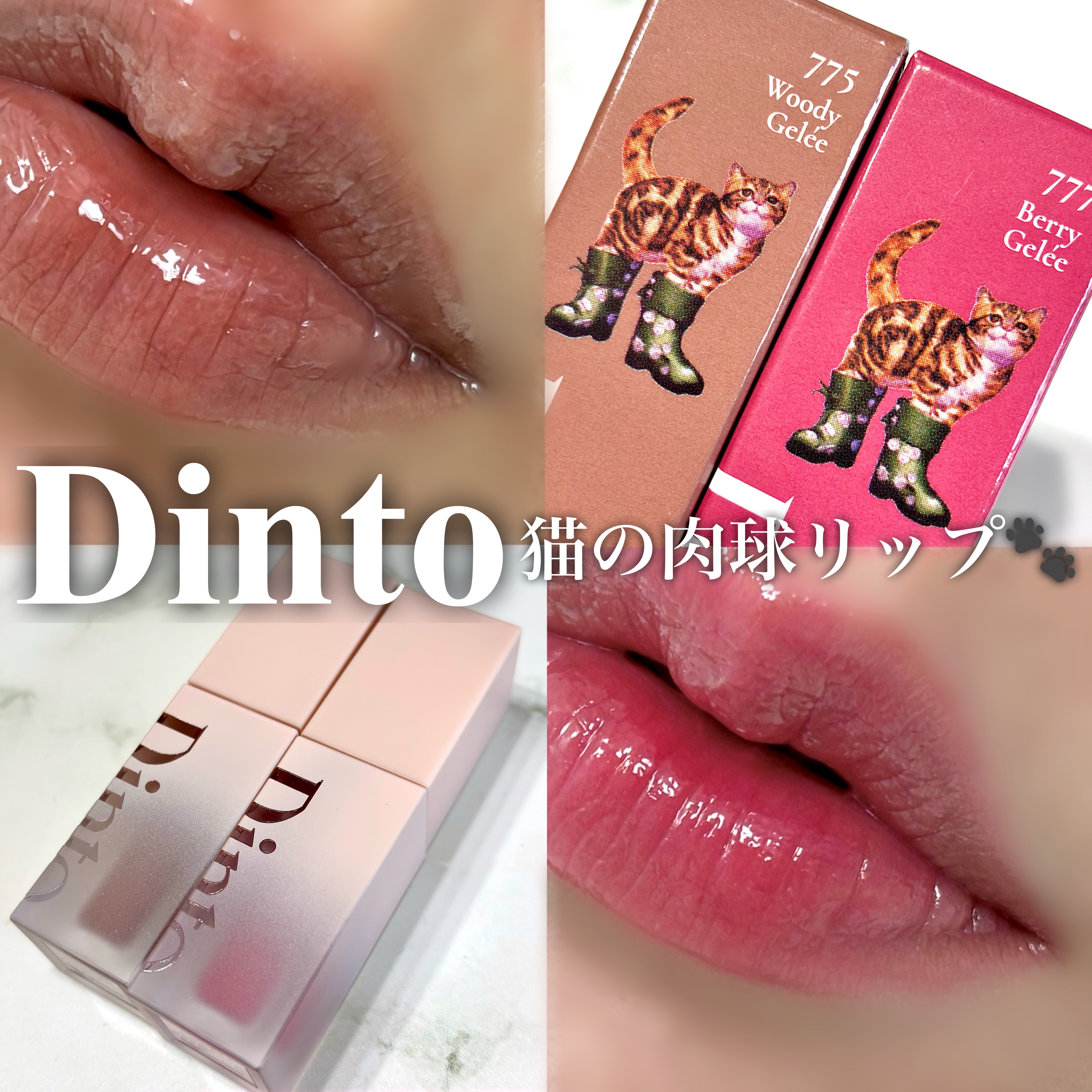 （ル・シャ ボテコレクション）ブラーゼリーボリュームリップティント/Dinto/リップティントを使ったクチコミ（1枚目）