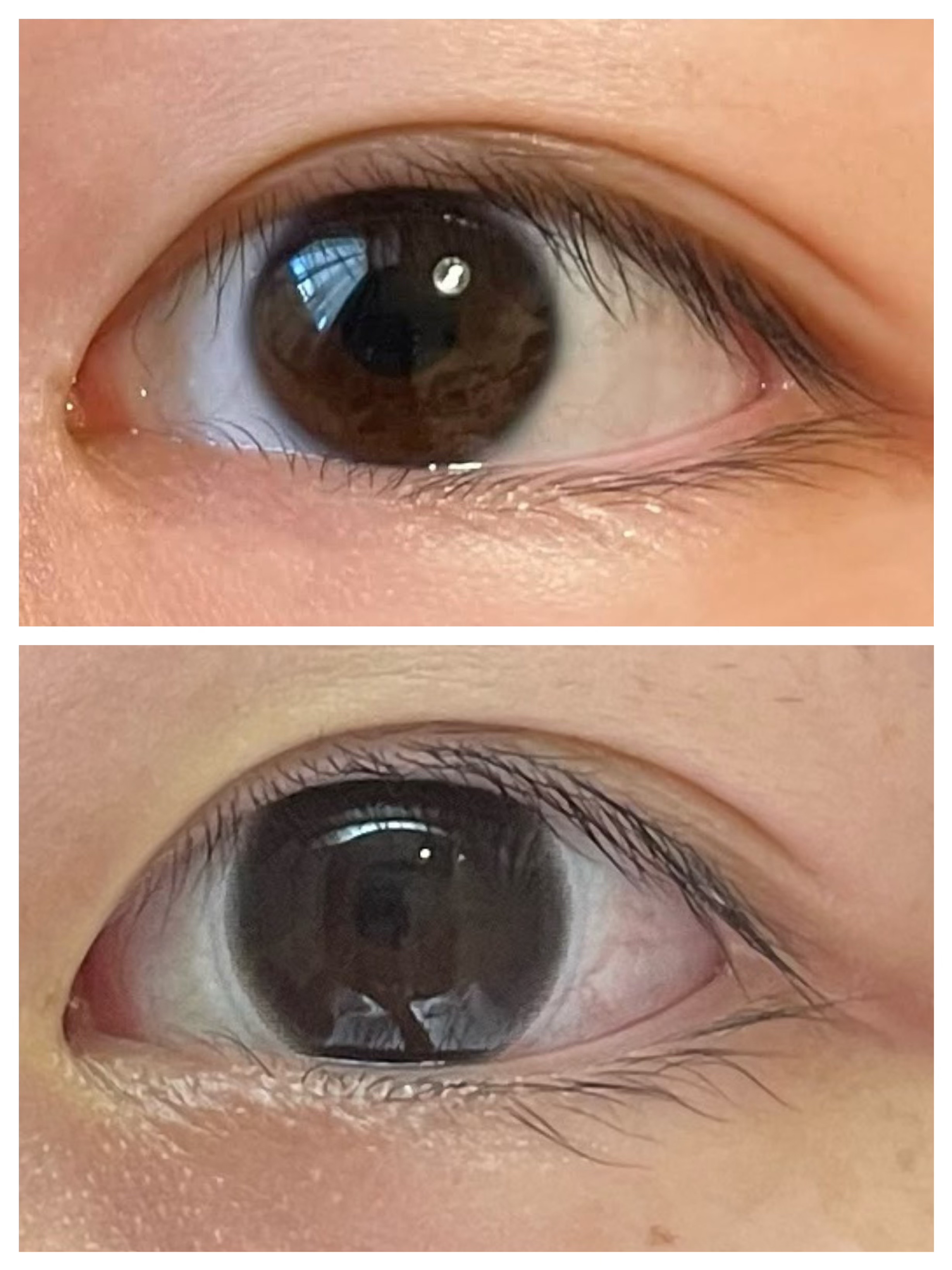 ReVIA 1day [CIRCLE] BLACK（ブラック）/ReVIA/ワンデー（１DAY）カラコンを使ったクチコミ（2枚目）