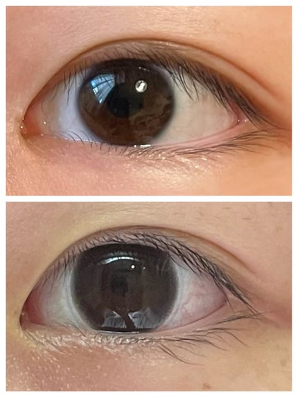 ReVIA 1day/ReVIA/ワンデー(1DAY)カラコンを使ったクチコミ(2枚目)