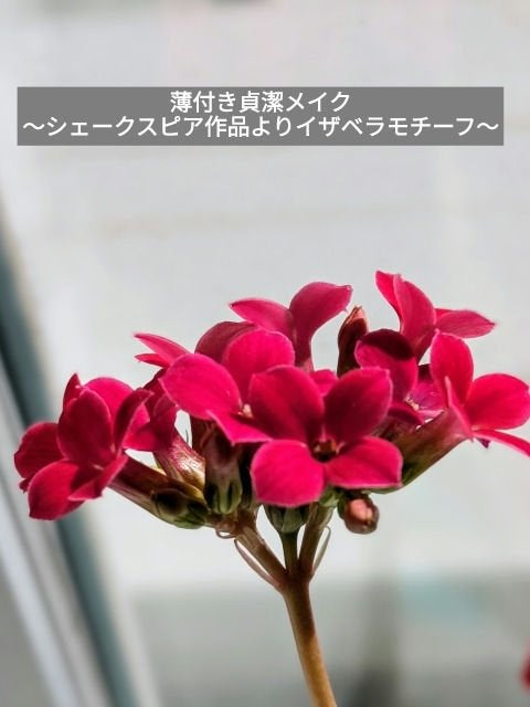 ラスティングリキッドライナー/キャンメイク/リキッドアイライナーを使ったクチコミ(1枚目)