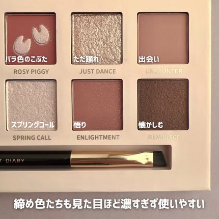 エクスプローラ12色 動物アイシャドウパレット/PERFECT DIARY/アイシャドウパレットを使ったクチコミ(6枚目)