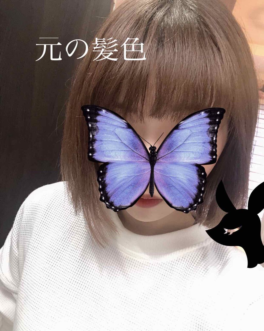 ホイップヘアカラー/ビューティラボ/ヘアカラーを使ったクチコミ(2枚目)