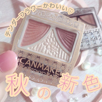 ジューシーピュアアイズ/キャンメイク/アイシャドウパレットを使ったクチコミ(1枚目)