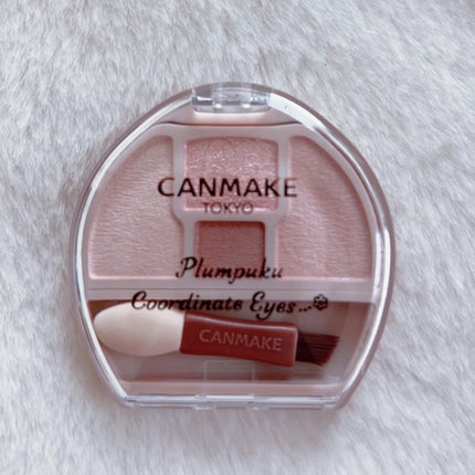 プランぷくコーデアイズNeo/キャンメイク/アイシャドウを使ったクチコミ(1枚目)