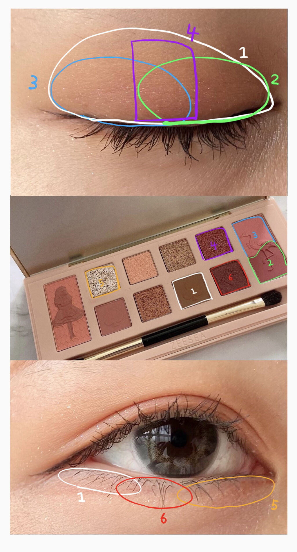 アリスドリームランドシリーズ 12色アイシャドウパレット（ZEESEA×大英博物館）/ZEESEA/アイシャドウパレットを使ったクチコミ（3枚目）