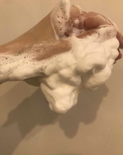 パーフェクトホイップn/SENKA(専科)/洗顔フォームを使ったクチコミ(1枚目)