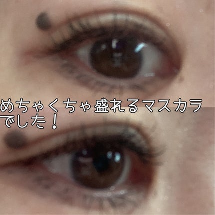 オールデイ ロング アンド カール マスカラ/Milk Touch/マスカラを使ったクチコミ(2枚目)