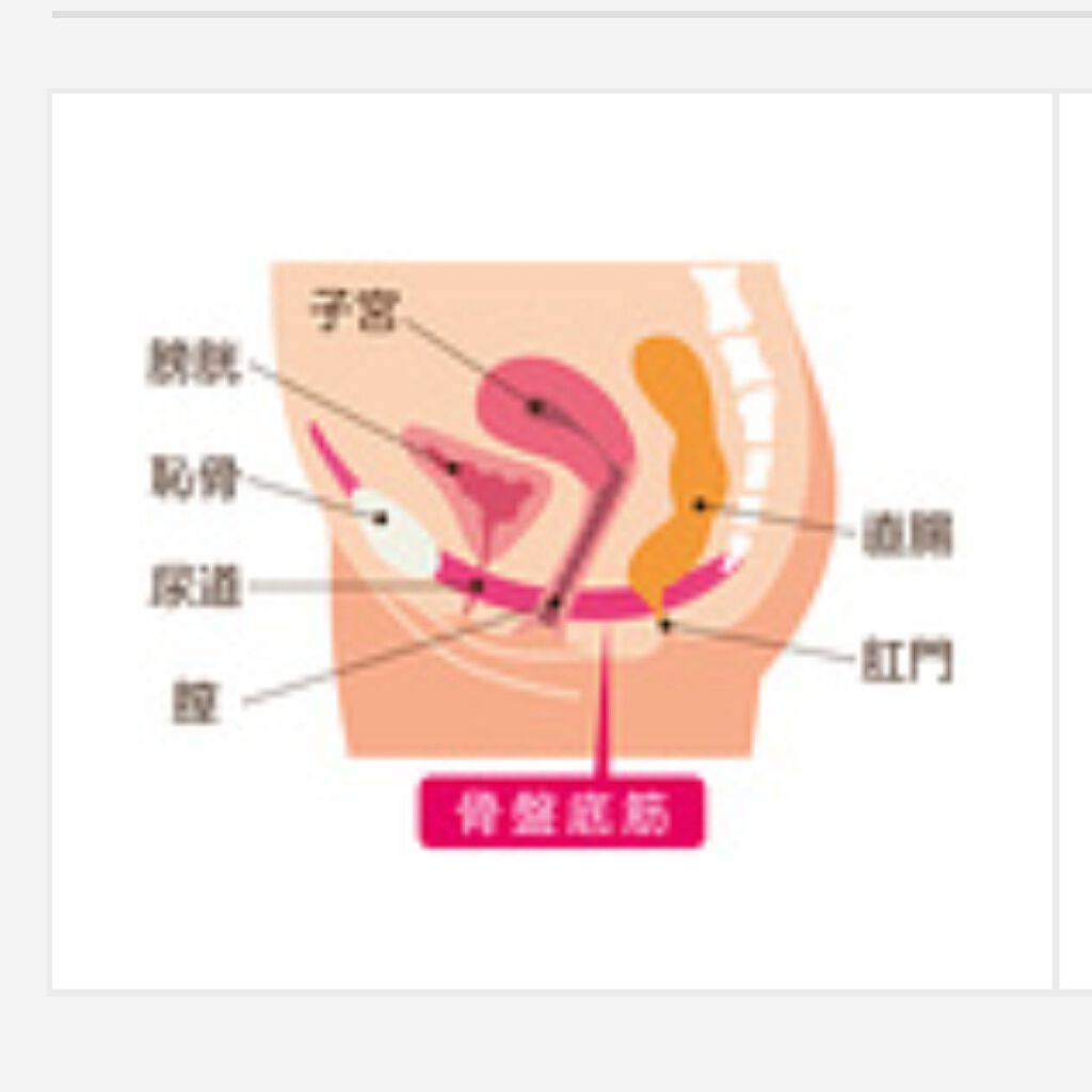 ヨナ on LIPS 「女性なら絶対読んでほしい、【膣についての大事なお話】 ではまず..」(2枚目)