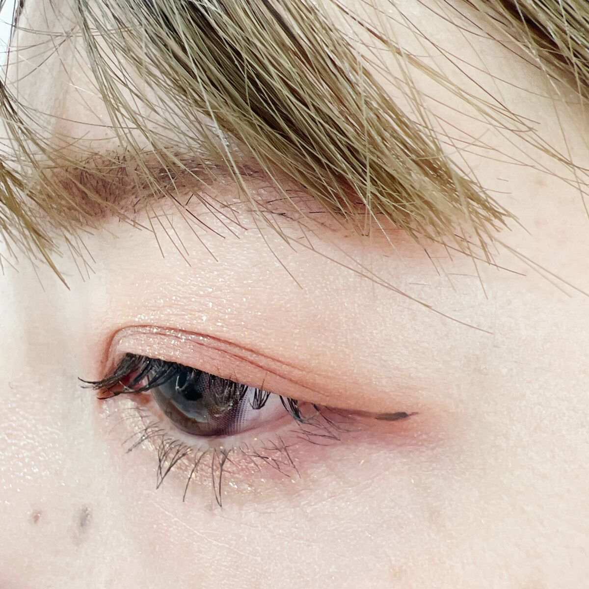 グラムチェンジマルチパレット/A.BLACK/マルチパレットを使ったクチコミ(5枚目)