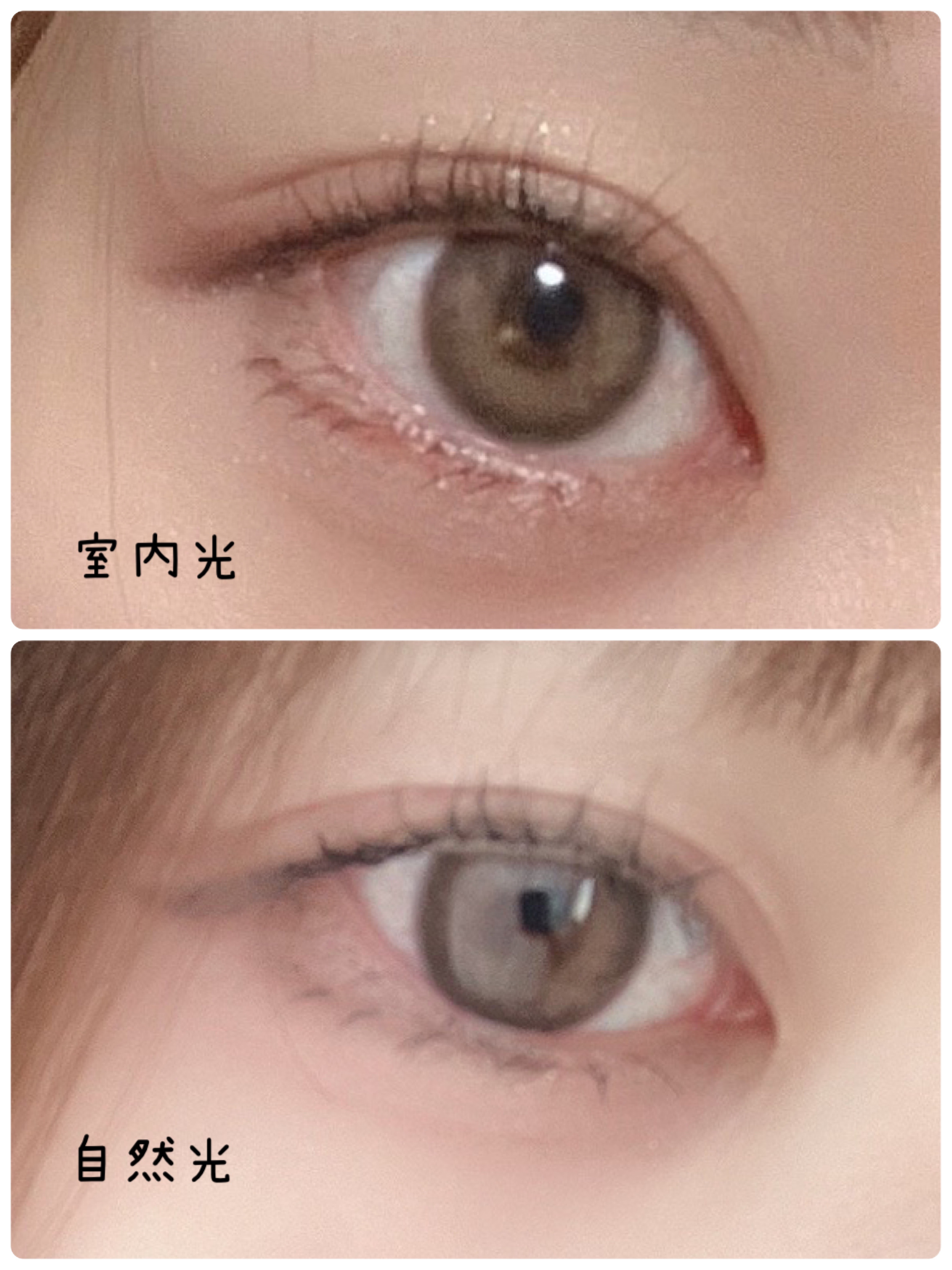 ミスティア [Mistia] /みんなのカラコン/カラーコンタクトレンズを使ったクチコミ（2枚目）