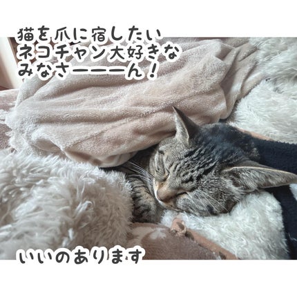 ジェルミーペタリー/ジェルミーワン/ネイルシールを使ったクチコミ(2枚目)