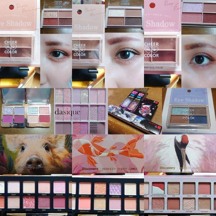 エクスプローラ12色 動物アイシャドウパレット/PERFECT DIARY/アイシャドウパレットを使ったクチコミ(3枚目)