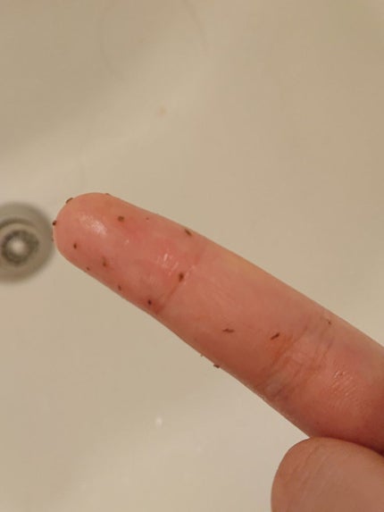 スパヒノキ オーガニック ホホバオイル/桧 spa hinoki(スパヒノキ)/頭皮ケアを使ったクチコミ(1枚目)