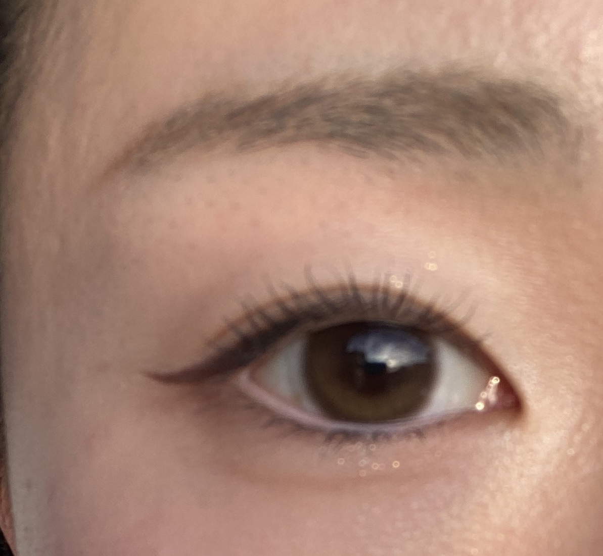 Glowy Natural 1Day/OLENS/カラーコンタクトレンズを使ったクチコミ（2枚目）