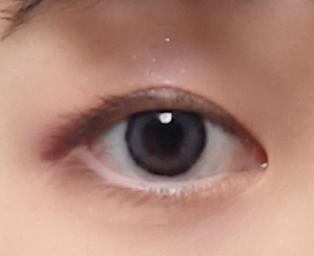eye closet iDOL Series CANNA ROSE 1day ラベンダーグレー/EYE CLOSET/ワンデー（１DAY）カラコンを使ったクチコミ（1枚目）
