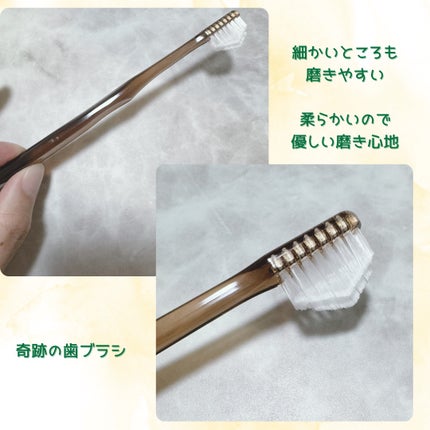 りん on LIPS 「珍しい平らなチューブの歯磨きペースト。エイジングケア*¹発想の..」(3枚目)