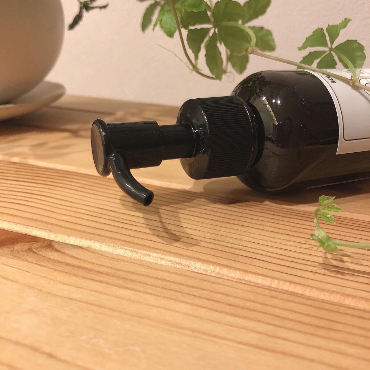 ソルヴォリー/えこのわ本舗/アウトバストリートメントを使ったクチコミ（3枚目）