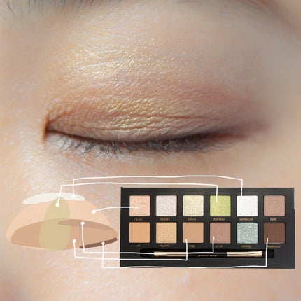 エクスプローラ12色 動物アイシャドウパレット/PERFECT DIARY/アイシャドウパレットを使ったクチコミ(6枚目)