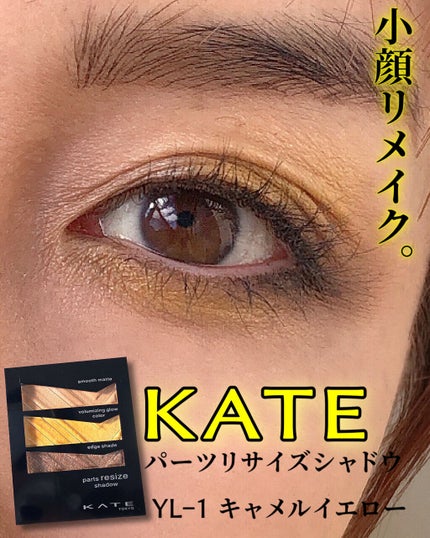 パーツリサイズシャドウ/KATE/アイシャドウパレットを使ったクチコミ(1枚目)