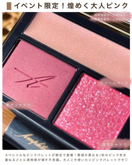 コンスピキュアス アイズ/Amplitude/アイシャドウパレットを使ったクチコミ(2枚目)