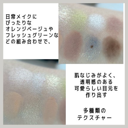 エクスプローラ12色 動物アイシャドウパレット/PERFECT DIARY/アイシャドウパレットを使ったクチコミ(4枚目)