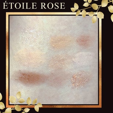 エトワルローズ 9色アイシャドウ/Étoile Rose/アイシャドウパレットを使ったクチコミ（2枚目）