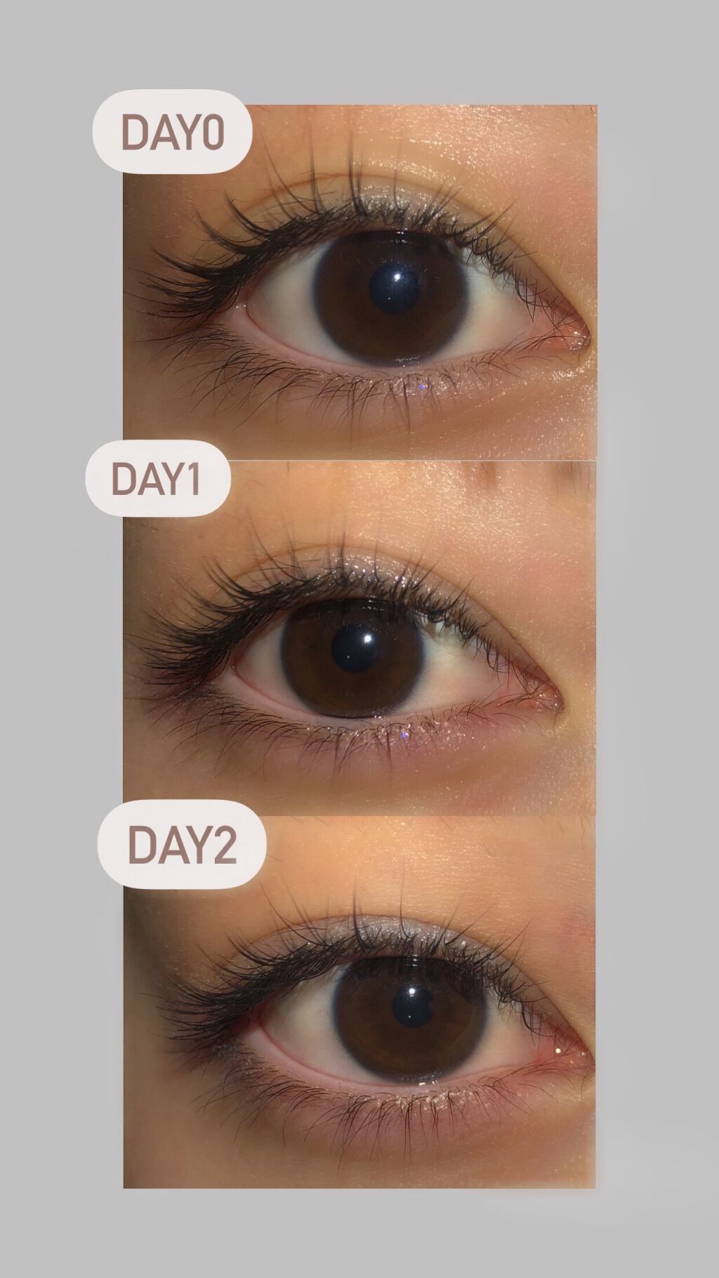 EMAKED(エマーキット)/水橋保寿堂製薬/まつげ美容液を使ったクチコミ(1枚目)