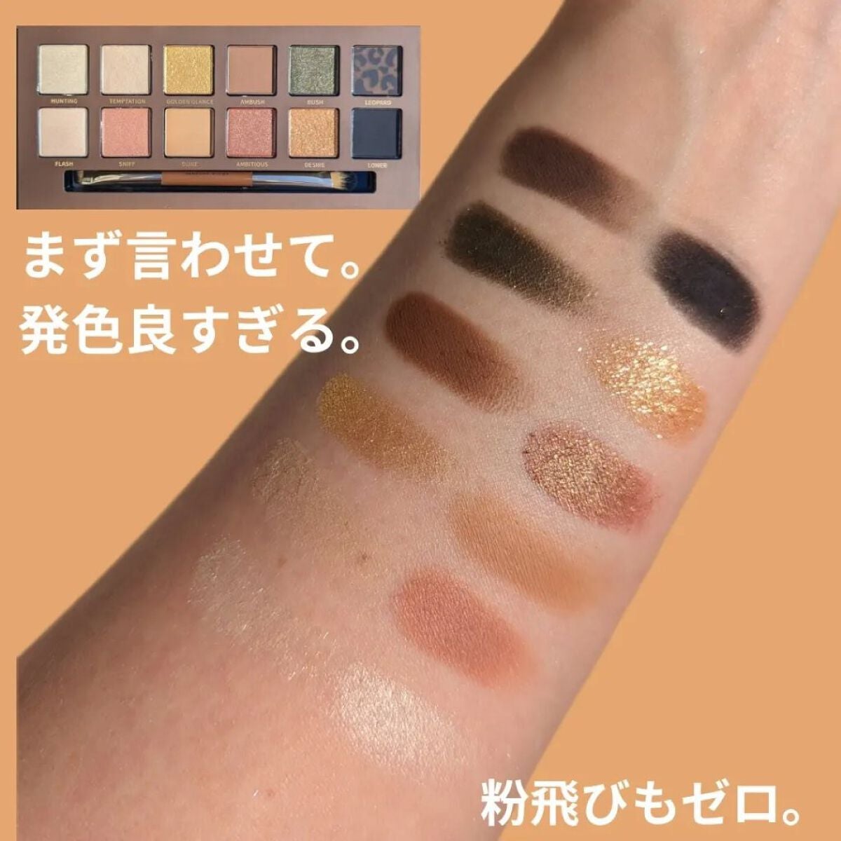 エクスプローラ12色 動物アイシャドウパレット/PERFECT DIARY/アイシャドウパレットを使ったクチコミ(3枚目)