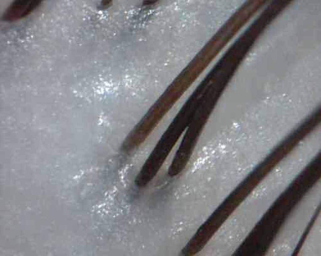 ホホバオイル/無印良品/ボディオイルを使ったクチコミ（3枚目）