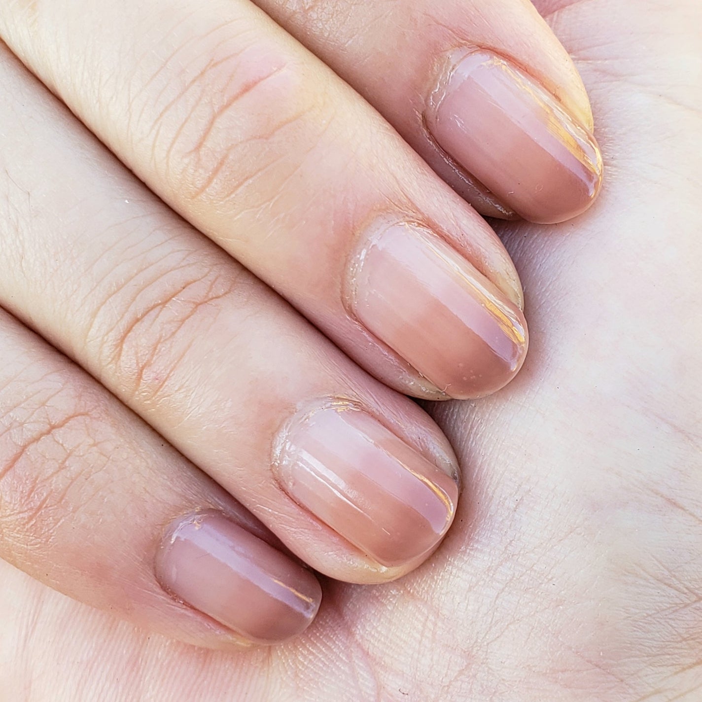 土木系おねいさん on LIPS 「今日のネイル💅ピンクベージュのグラデーションなら会社でもOK🙆..」(2枚目)