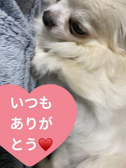 5 STAR ISLAND/ColourPop/アイシャドウパレットを使ったクチコミ(9枚目)