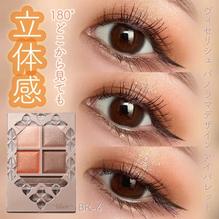 パノラマデザイン アイパレット/Visée/アイシャドウパレットを使ったクチコミ(1枚目)