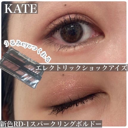 エレクトリックショックアイズ /KATE/アイシャドウパレットを使ったクチコミ(1枚目)