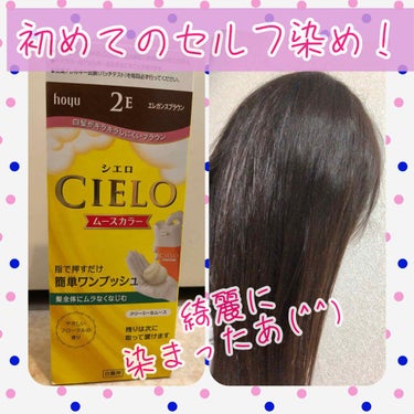 ムースカラー/CIELO/ヘアカラーを使ったクチコミ（1枚目）