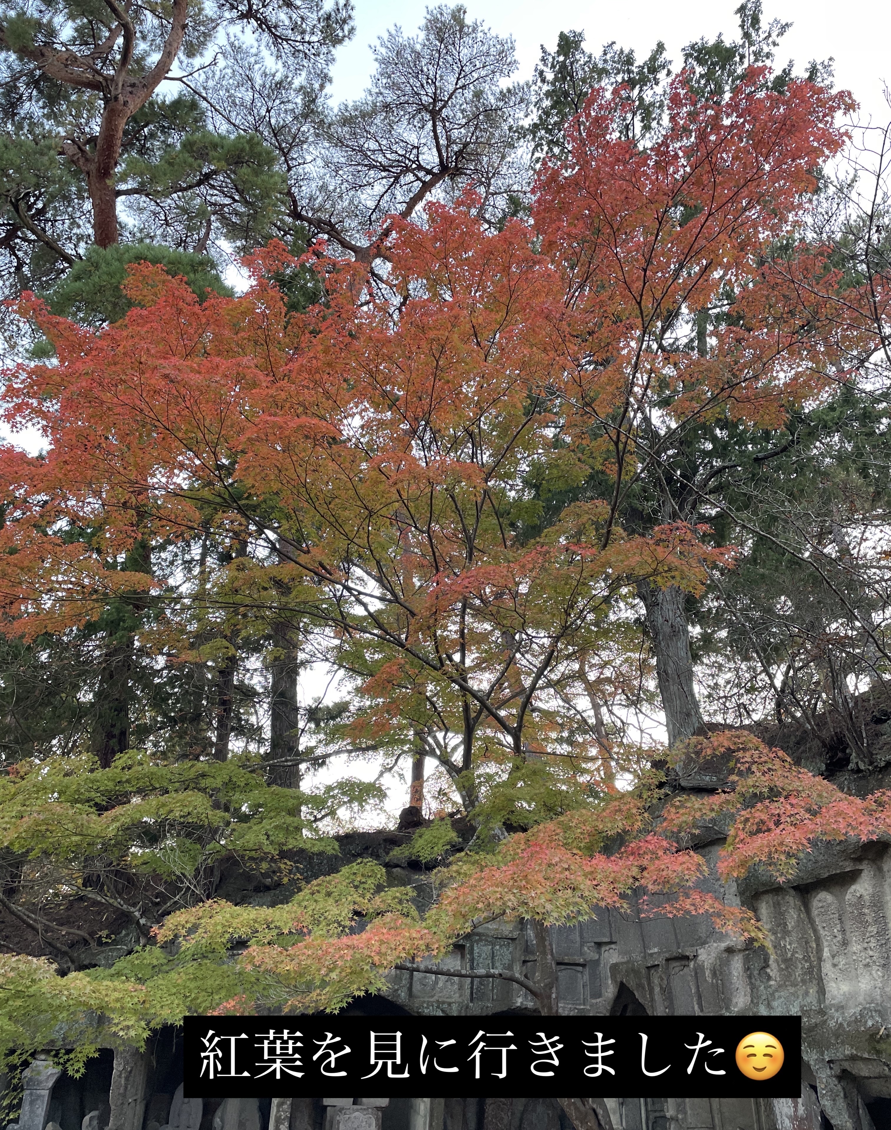 クチュール ミニ クラッチ/YVES SAINT LAURENT BEAUTE/アイシャドウパレットを使ったクチコミ（2枚目）